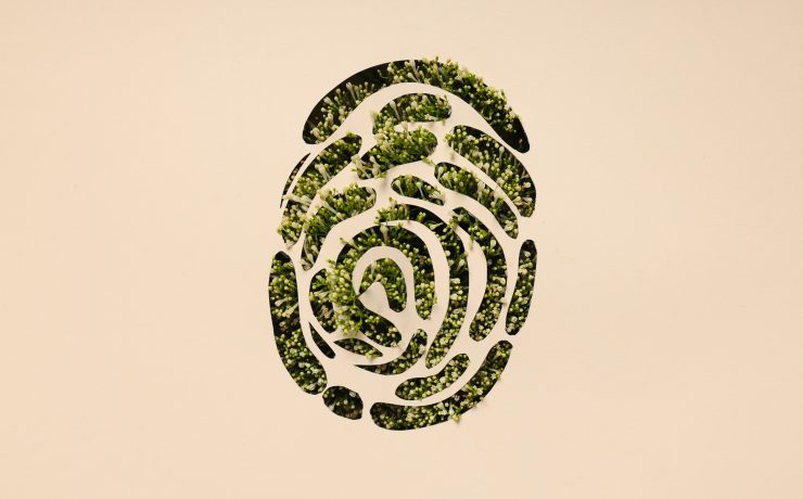 Earth Day, Environment concept and Eco concept